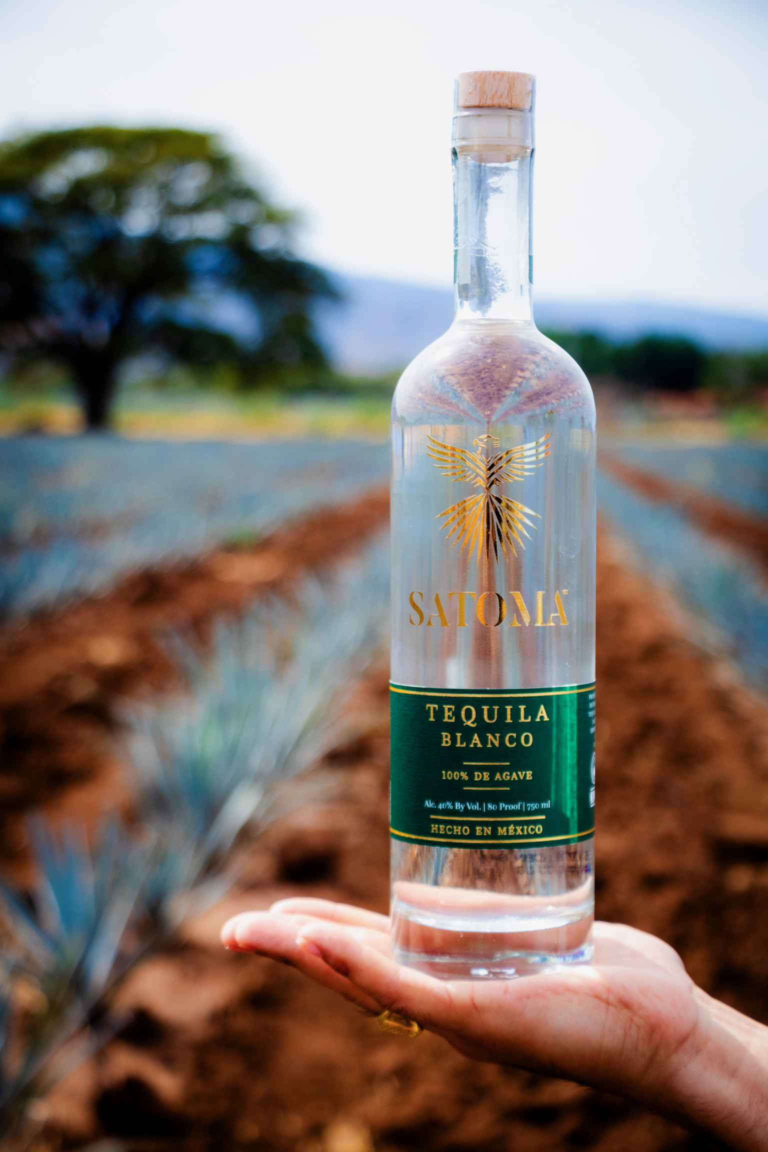 Botella Satoma Blanco en campo de agave